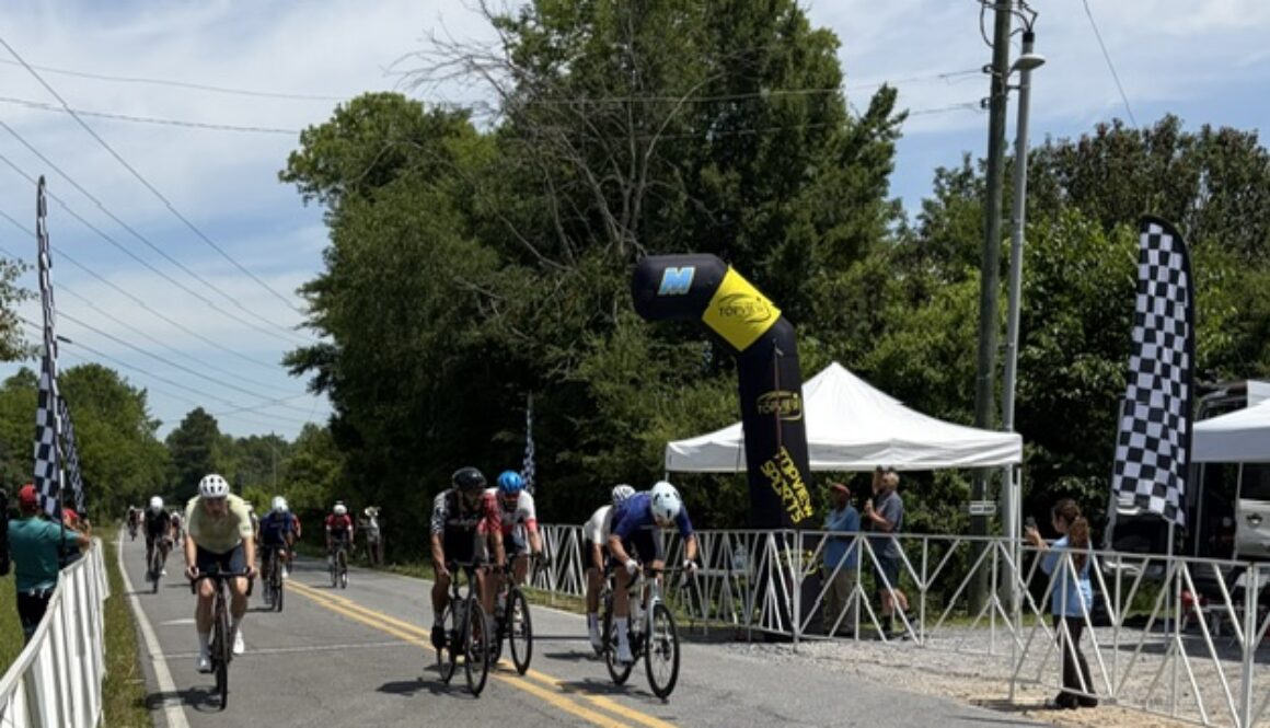 Georgia State Games